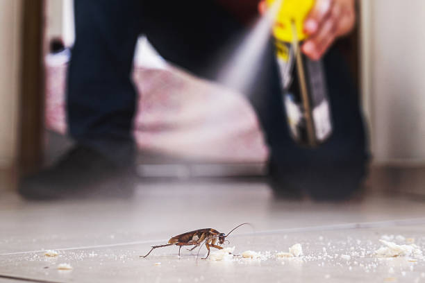 Best Pest Prevention Services  in Bradfordville, FL